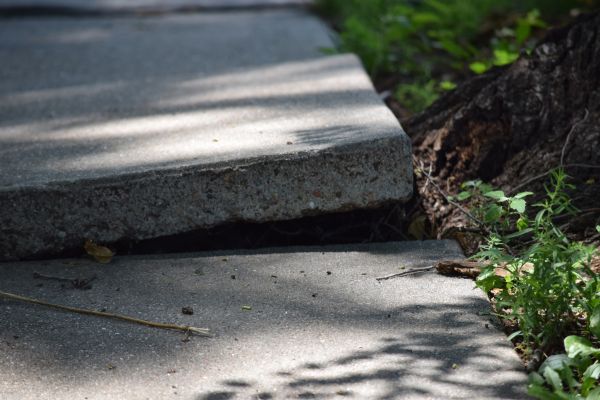 Cost of Concrete Lifting in Brunswick