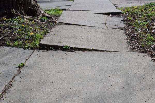 Cost of Sidewalk Raising in Brunswick
